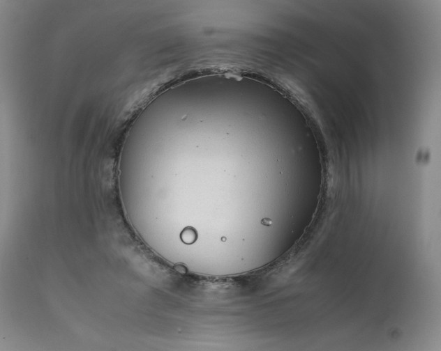 X0000111900401200907271203