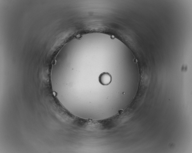 X0000111900403200907271203