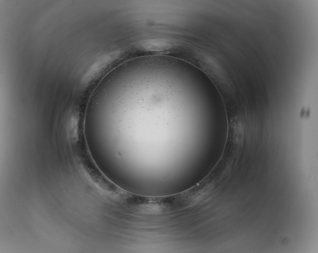 X0000111900404200907271203