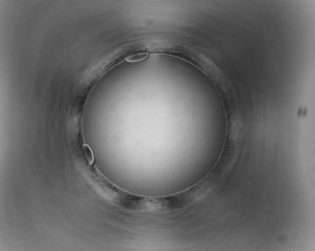 X0000111900405200907271203