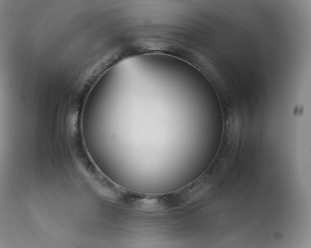 X0000111900406200907271203