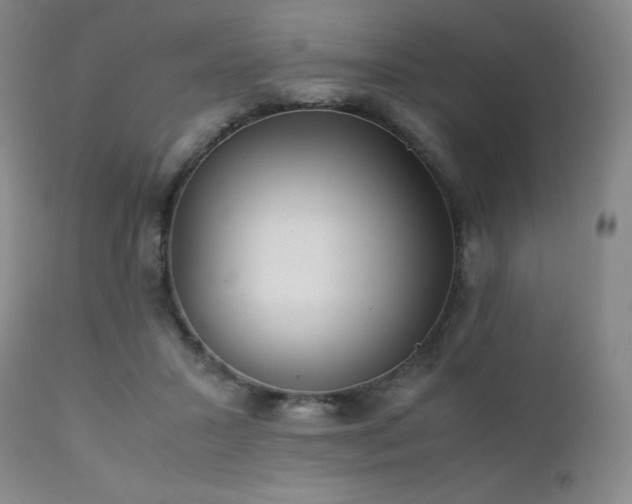 X0000111900407200907271203