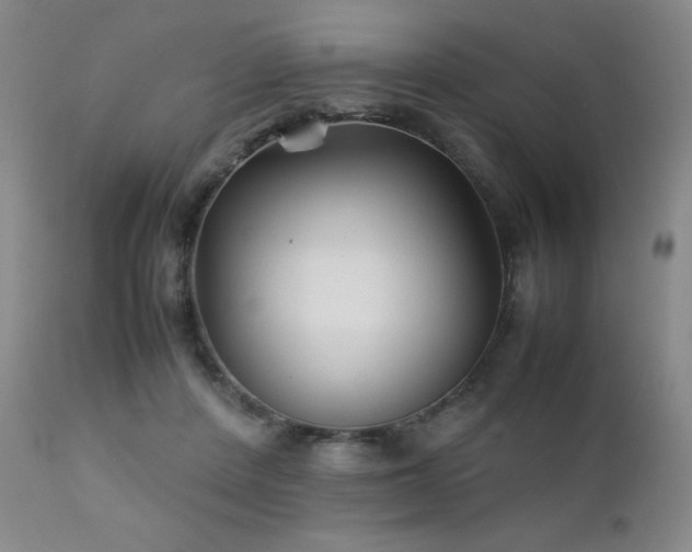 X0000111900408200907271203