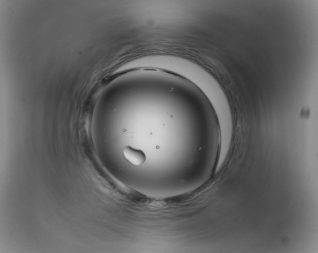 X0000111900409200907271203