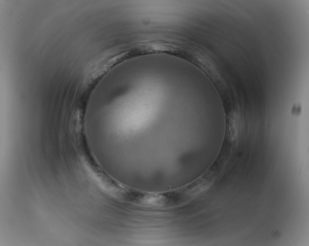 X0000111900410200907271203