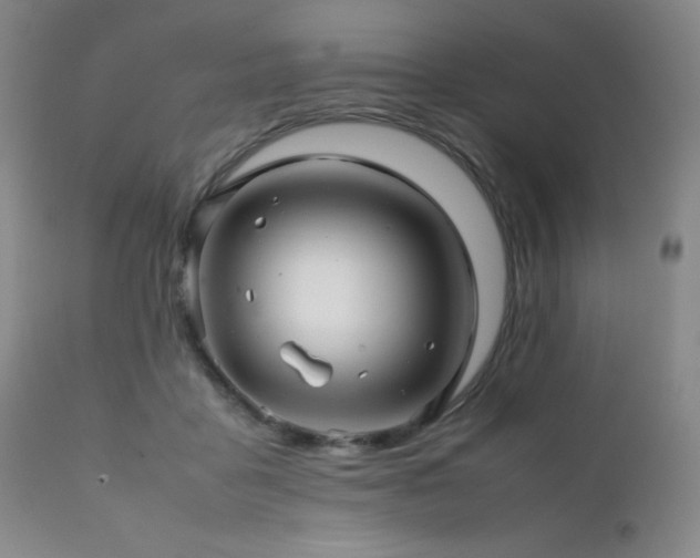 X0000111900411200907271203