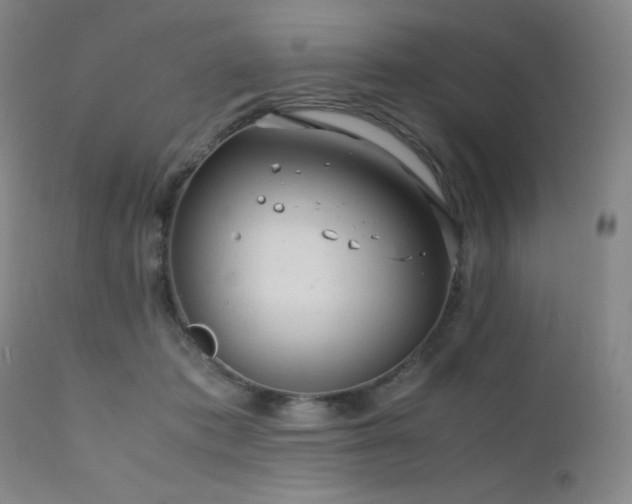 X0000111900413200907271203