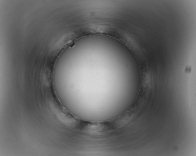 X0000111900414200907271203