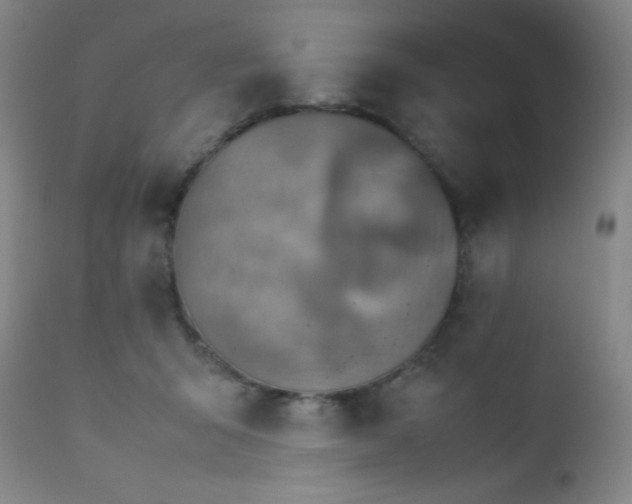 X0000111900415200907271203