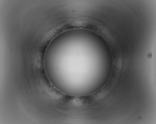 X0000111900416200907271203