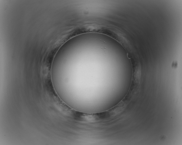 X0000111900417200907271202