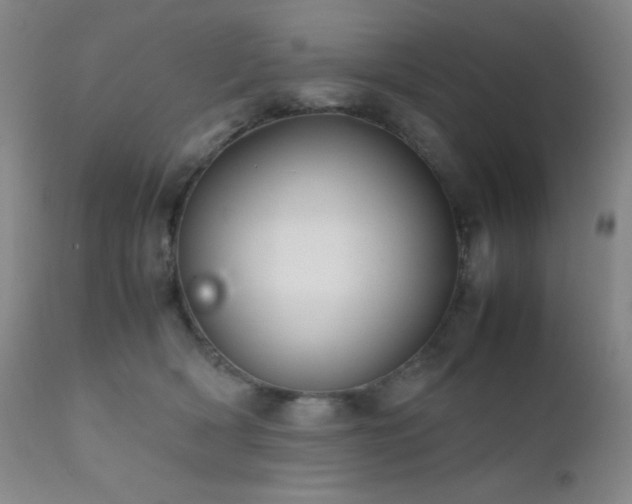 X0000111900418200907271202