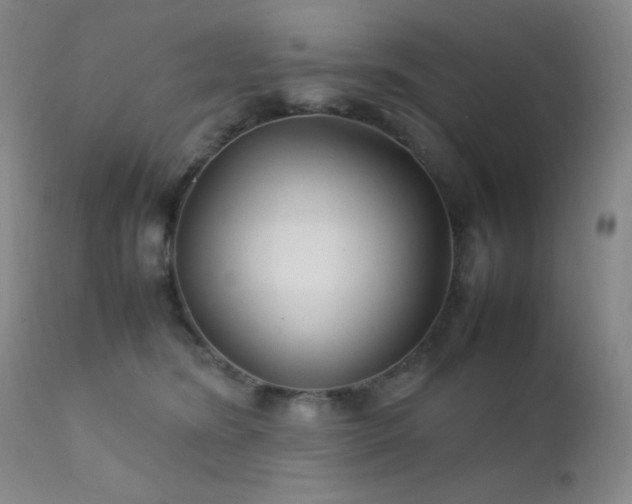 X0000111900420200907271202