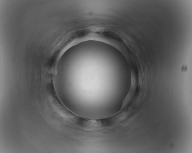 X0000111900421200907271202