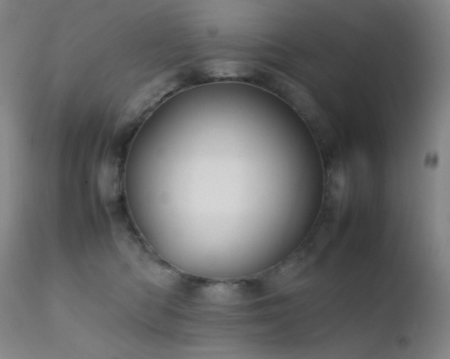 X0000111900422200907271202