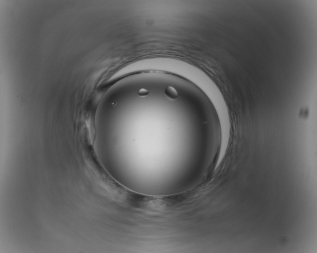 X0000111900423200907271202