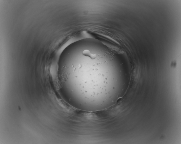 X0000111900424200907271202