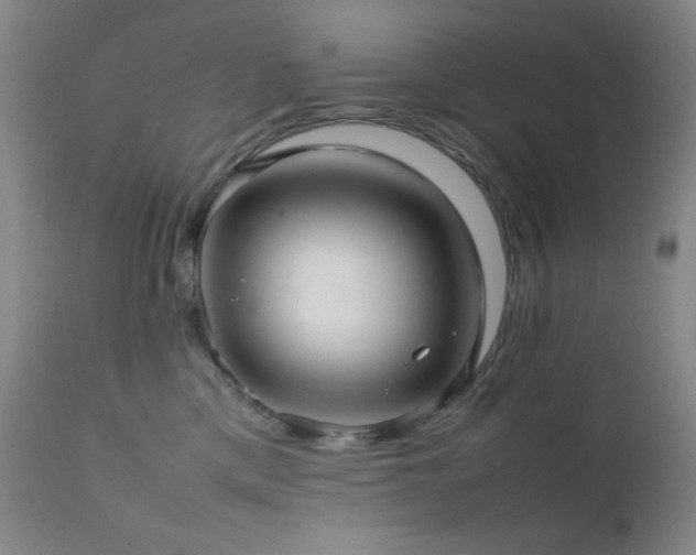 X0000111900425200907271202