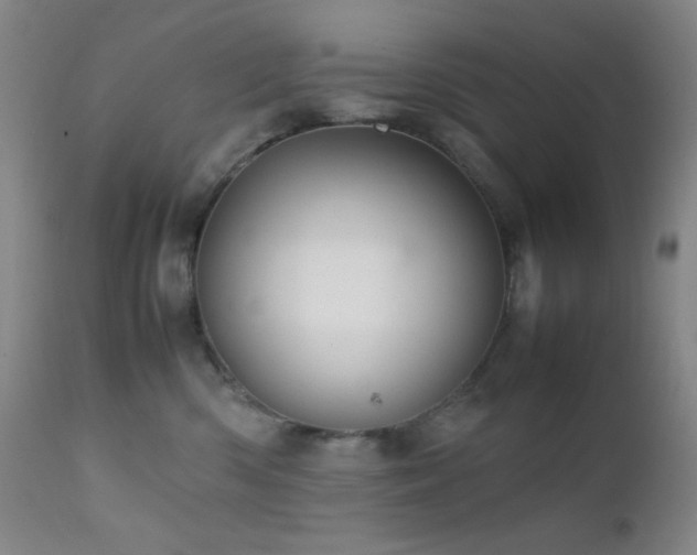 X0000111900426200907271202