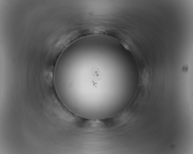 X0000111900427200907271202