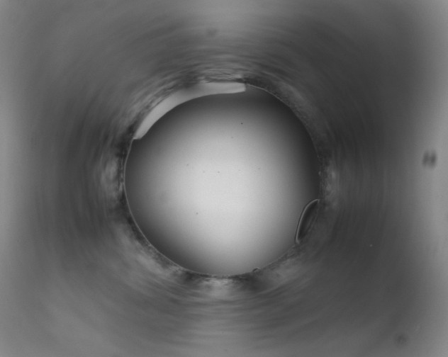 X0000111900428200907271202