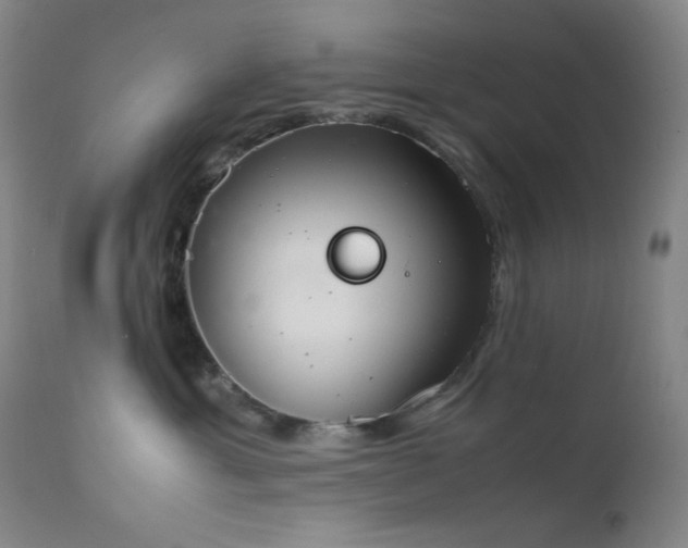 X0000111900429200907271202