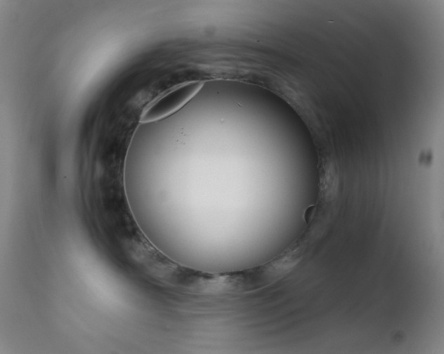 X0000111900430200907271202