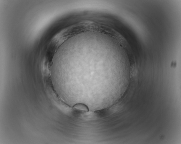 X0000111900431200907271202