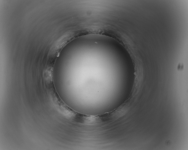 X0000111900432200907271202