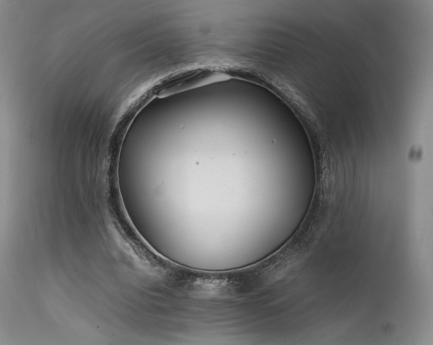 X0000111900440200907271201