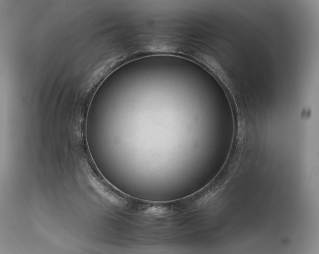 X0000111900441200907271201