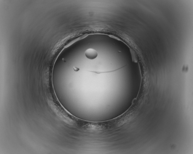 X0000111900442200907271201