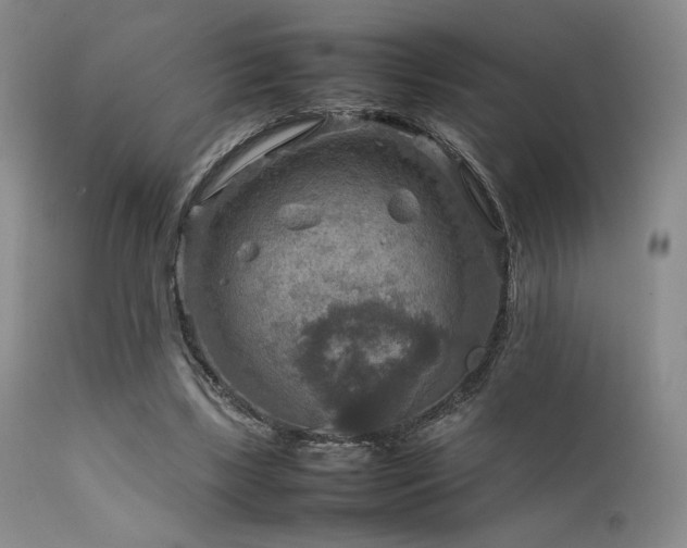 X0000111900443200907271201