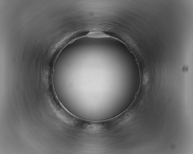 X0000111900444200907271201