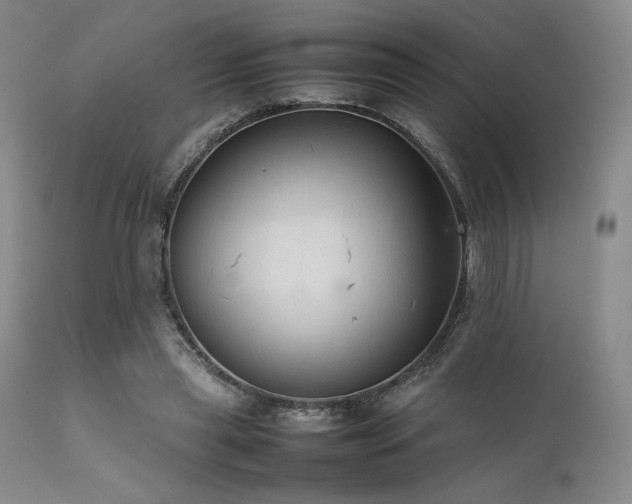 X0000111900445200907271201