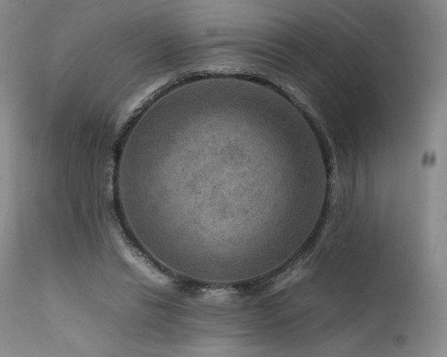 X0000111900446200907271201