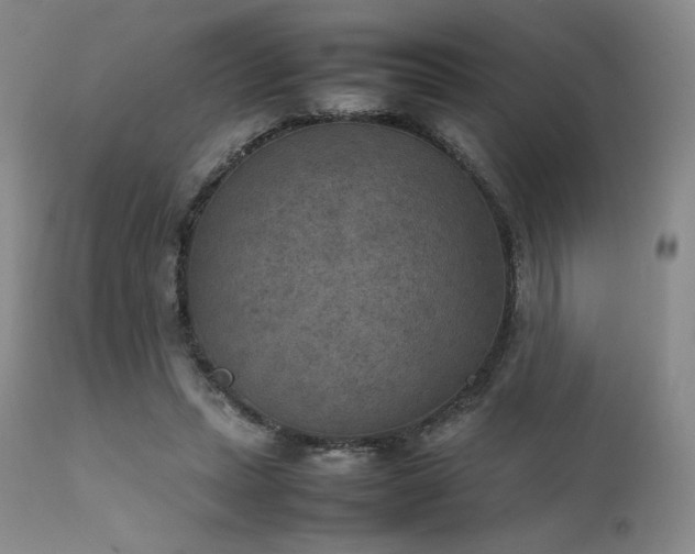 X0000111900447200907271201