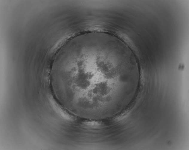 X0000111900449200907271202