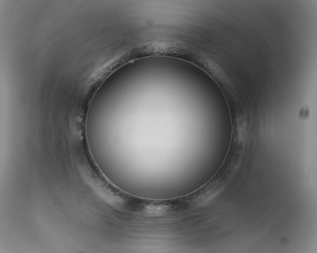 X0000111900450200907271202