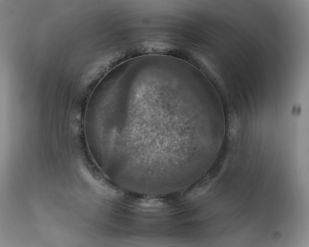 X0000111900451200907271202