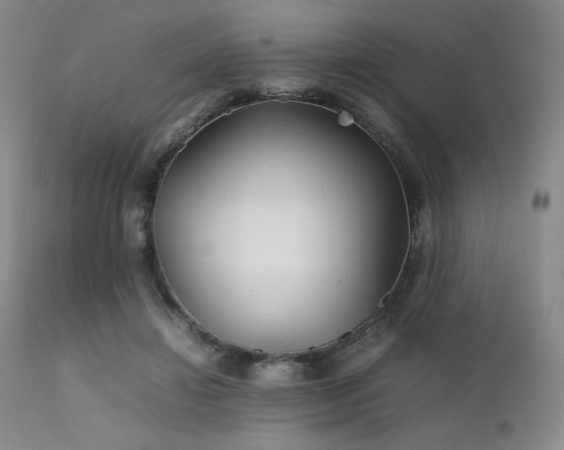 X0000111900452200907271202