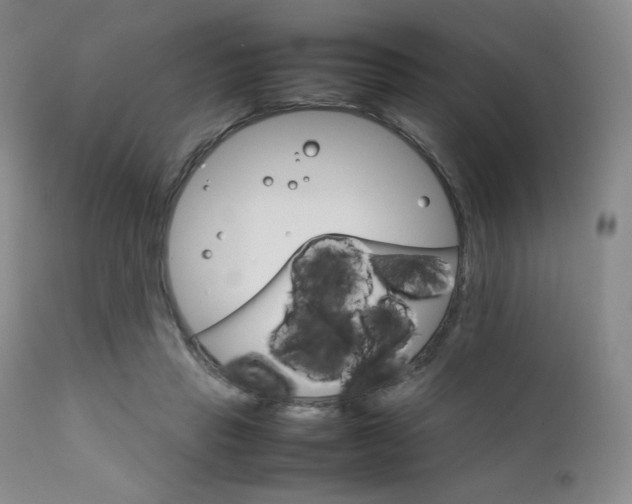 X0000111900453200907271202