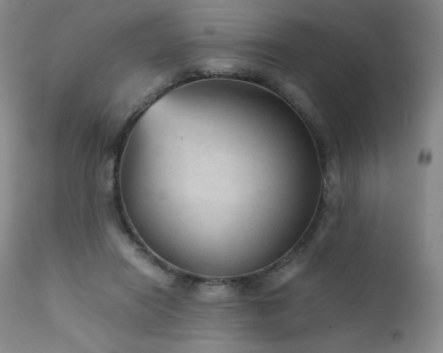 X0000111900454200907271202