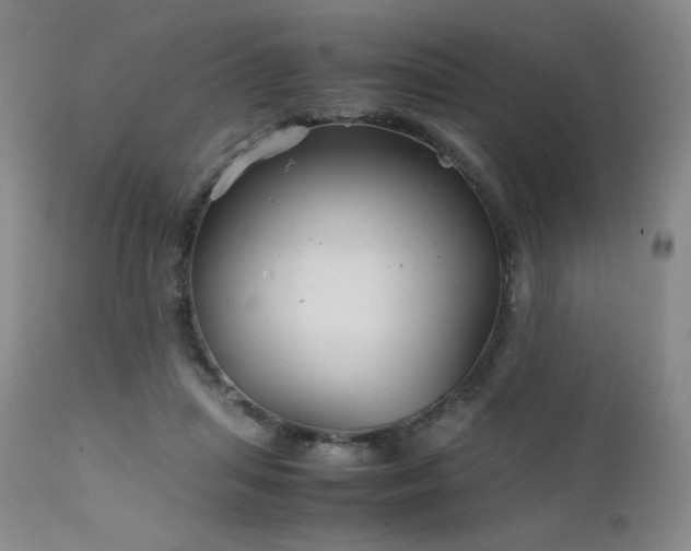 X0000111900455200907271202