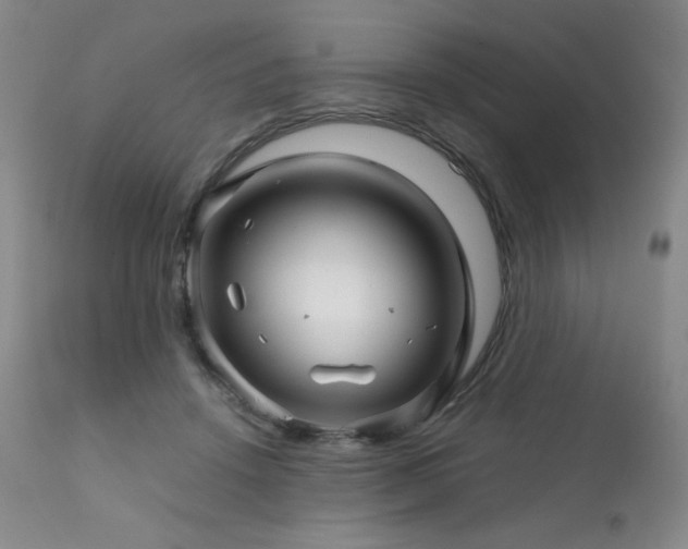 X0000111900456200907271202