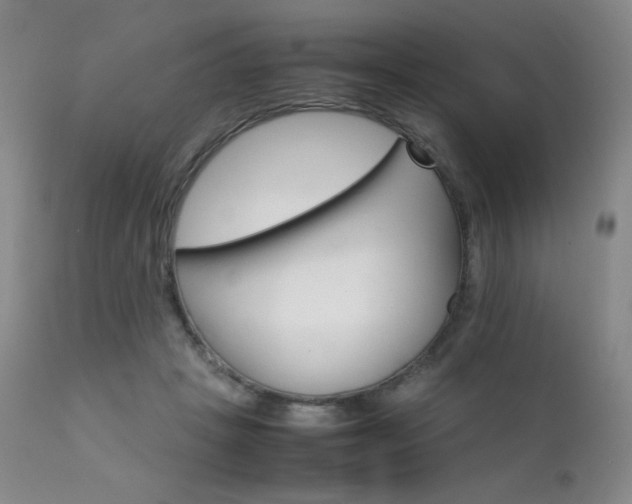 X0000111900457200907271202