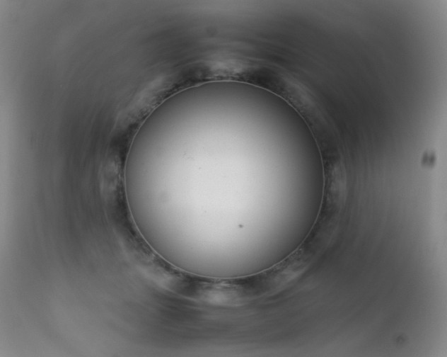 X0000111900463200907271202