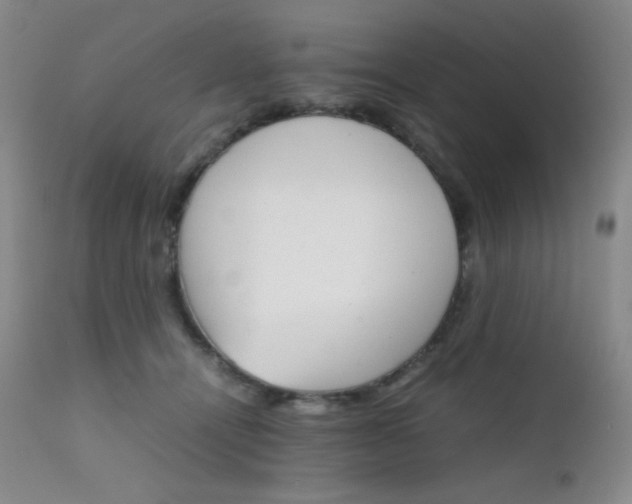 X0000111900464200907271202