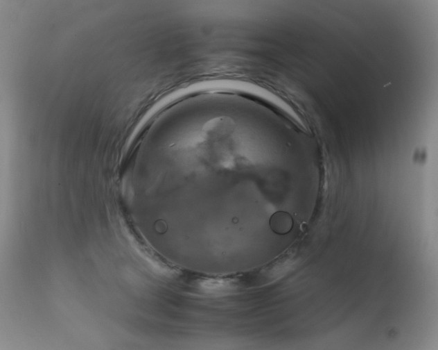 X0000111900465200907271202