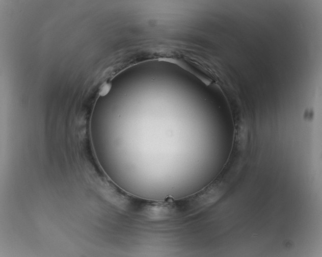 X0000111900466200907271202